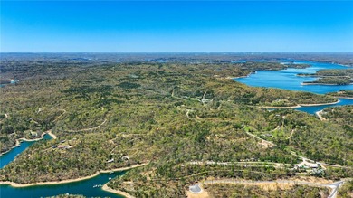 Discover the perfect canvas for your custom Beaver Lake area - photo 43