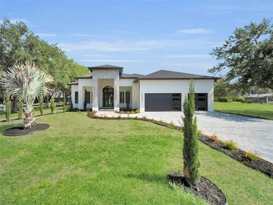 Brand-new construction offering elevated design, modern luxury - photo 1