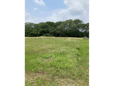 (private lake, pond, creek) Lot For Sale in Blessing Texas