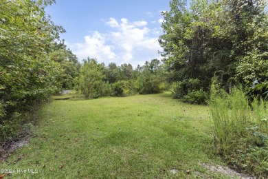 Lake Acreage For Sale in Lake Waccamaw, North Carolina