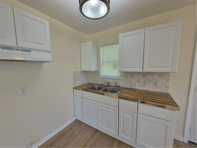 4,007.50$ * down payment with FHA loan* BEAUTIFUL REMODELED - photo 5