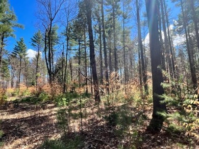 Ausable River Acreage For Sale in Wilmington New York