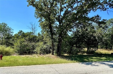 Lake Texoma Lot For Sale in Gordonville Texas