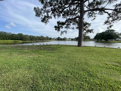 PRICE REDUCED! BRING YOUR BOAT AND YOUR WORK TRUCK, TOO! NO HOA - photo 39