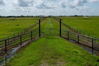 (private lake, pond, creek) Acreage For Sale in Blessing Texas