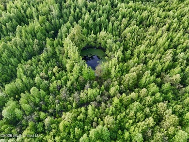 Discover an exceptional 291.57+/- acre property in Tippah County - photo 19