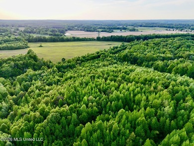 Discover an exceptional 291.57+/- acre property in Tippah County - photo 22