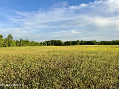 Discover an exceptional 291.57+/- acre property in Tippah County - photo 23