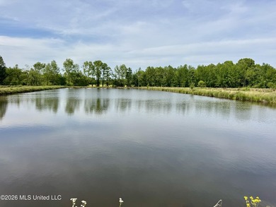 Discover an exceptional 291.57+/- acre property in Tippah County - photo 27