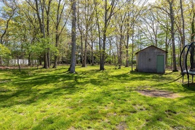 Your out-east living is here! This homey ranch is situated on - photo 27
