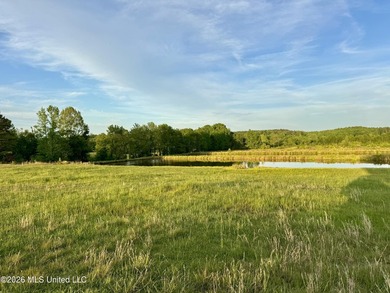 Discover an exceptional 291.57+/- acre property in Tippah County - photo 28