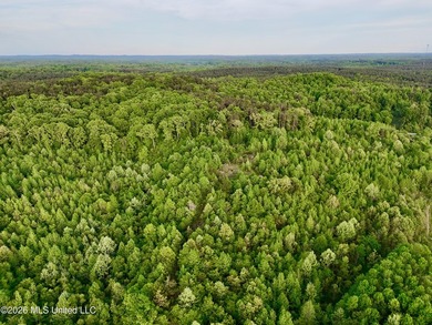 Discover an exceptional 291.57+/- acre property in Tippah County - photo 30