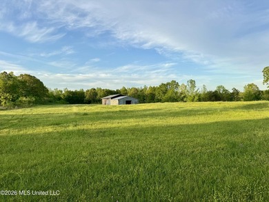 Discover an exceptional 291.57+/- acre property in Tippah County - photo 33