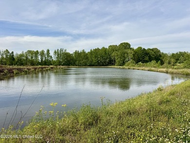 Discover an exceptional 291.57+/- acre property in Tippah County - photo 34