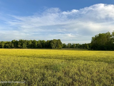 Discover an exceptional 291.57+/- acre property in Tippah County - photo 35