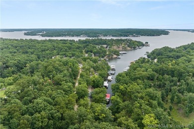 Have you always dreamed of owning a lakefront home? Seize this - photo 36