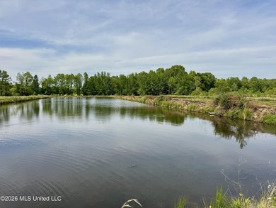Discover an exceptional 291.57+/- acre property in Tippah County - photo 36