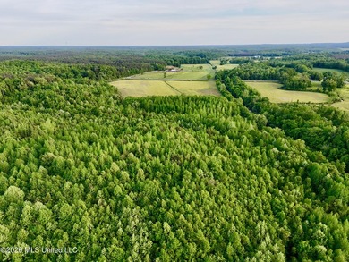 Discover an exceptional 291.57+/- acre property in Tippah County - photo 37