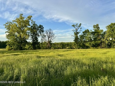 Discover an exceptional 291.57+/- acre property in Tippah County - photo 39