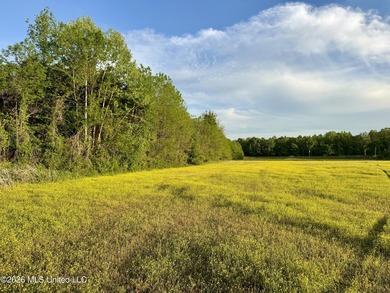Discover an exceptional 291.57+/- acre property in Tippah County - photo 40