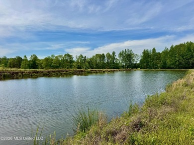 Discover an exceptional 291.57+/- acre property in Tippah County - photo 41