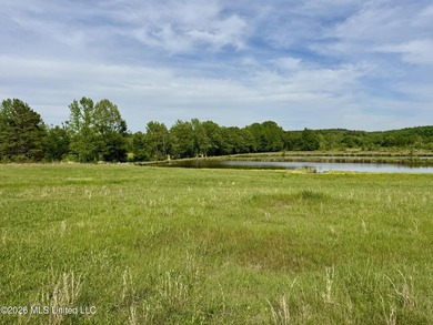 Discover an exceptional 291.57+/- acre property in Tippah County - photo 42