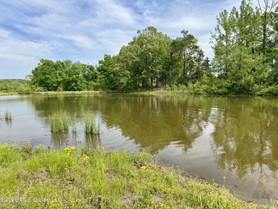 Discover an exceptional 291.57+/- acre property in Tippah County - photo 43