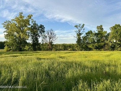 Discover an exceptional 291.57+/- acre property in Tippah County - photo 44