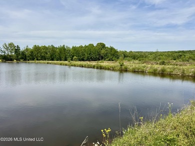 Discover an exceptional 291.57+/- acre property in Tippah County - photo 48