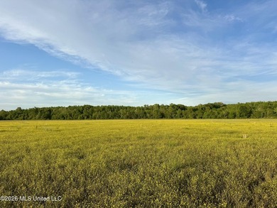 Discover an exceptional 291.57+/- acre property in Tippah County - photo 49