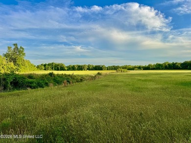 Discover an exceptional 291.57+/- acre property in Tippah County - photo 50