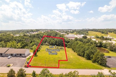 Lake of the Ozarks Lot For Sale in Laurie Missouri