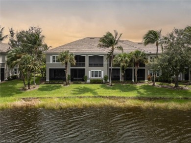 (private lake, pond, creek) Home For Sale in Naples Florida