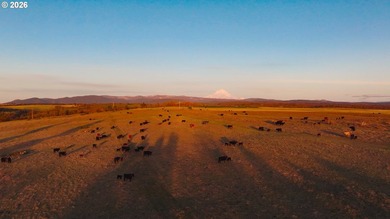 A once-in-a-generation opportunity to acquire one of Oregon's - photo 11