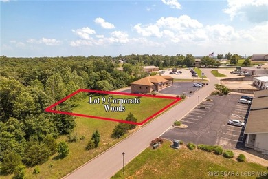 Centrally located in Laurie with easy access to both Hwy 5 and O - photo 2