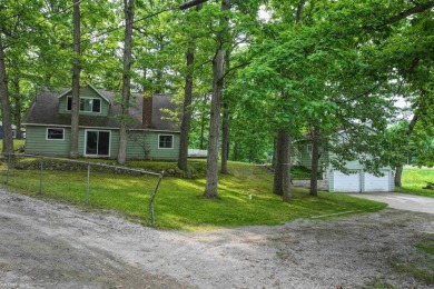 Lake Home For Sale in Linden, Michigan