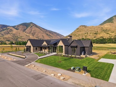 Welcome home to this stunning brand new luxury custom rambler - photo 41