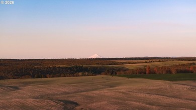 A once-in-a-generation opportunity to acquire one of Oregon's - photo 46