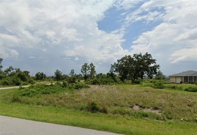 Peace River Lot For Sale in Punta Gorda Florida