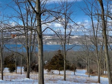 Lake Acreage Sale Pending in Hector, New York