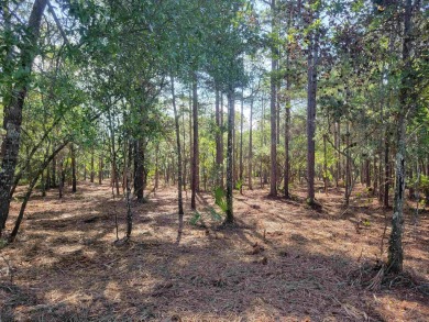 (private lake, pond, creek) Acreage Sale Pending in Ochlockonee Bay Florida