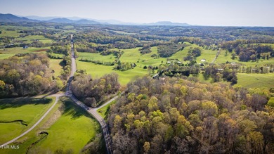 Nolichucky River Acreage For Sale in Greeneville Tennessee