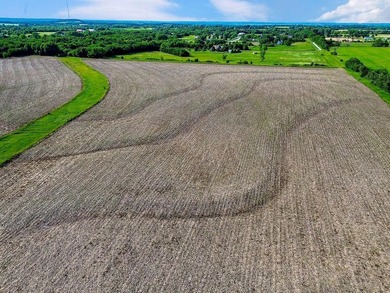 Secluded 70-acre farm in great location This property has it all - photo 49