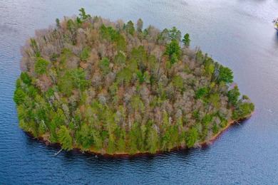 Improved mainland access plus your own private Northwoods - photo 11