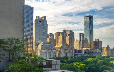 Residence 1607 at 160 Central Park South presents a rare - photo 11