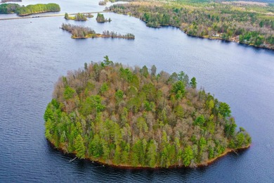Improved mainland access plus your own private Northwoods - photo 15