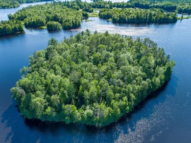 Improved mainland access plus your own private Northwoods - photo 16