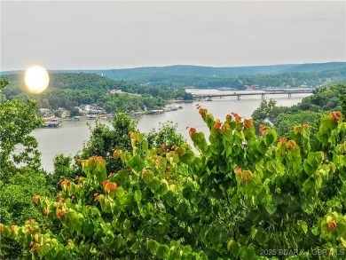 Lake Home For Sale in Camdenton, Missouri