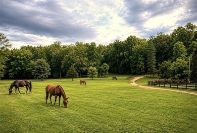 CHEROKEE COUNTY 19.9 ACRE COUNTRY ESTATE/HORSE FARM!! Nestled in - photo 7