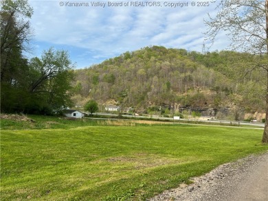 Lake Acreage For Sale in Danville, West Virginia